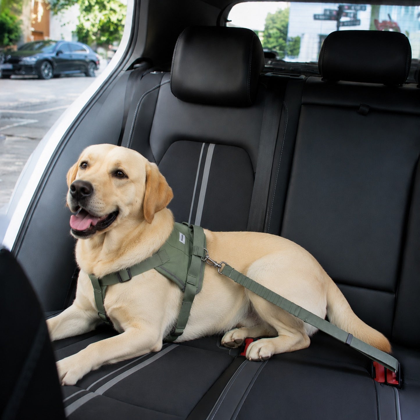 Flexible Dog Car Protection Kit