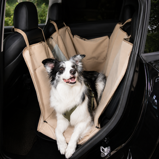 Complete Dog Car Safety Kit