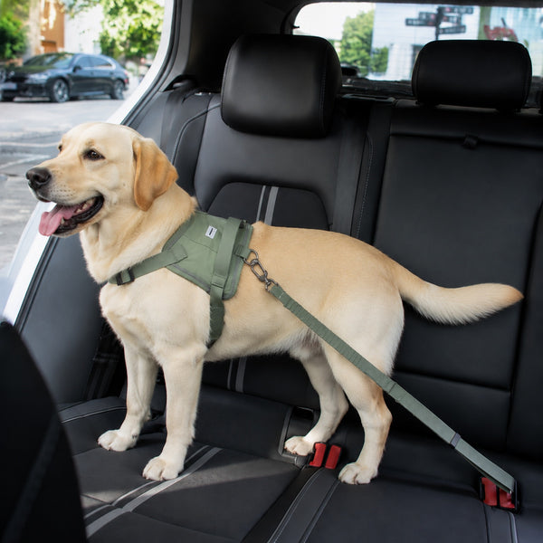 Dog Car Safety Seat Belt Tether – Adjustable Shock Absorbing Harness