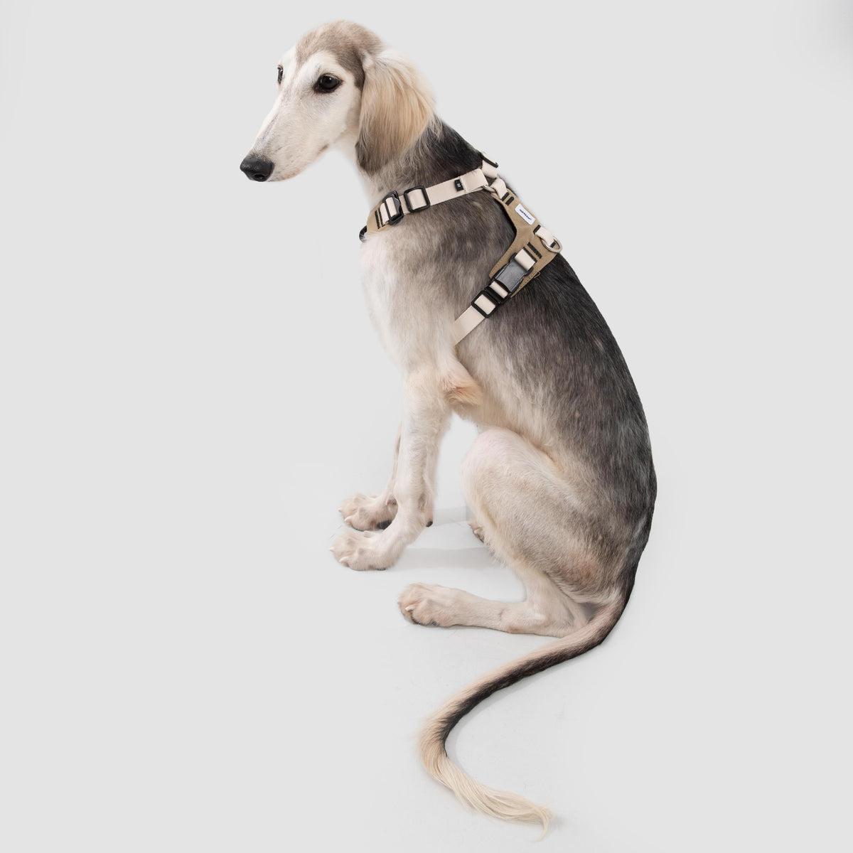 No-Pull Dog Harness with Front & Back Clips