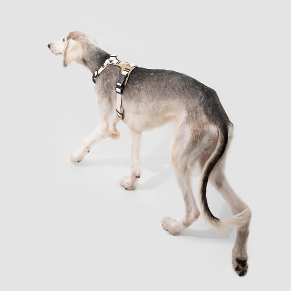 No-Pull Dog Harness with Front & Back Clips