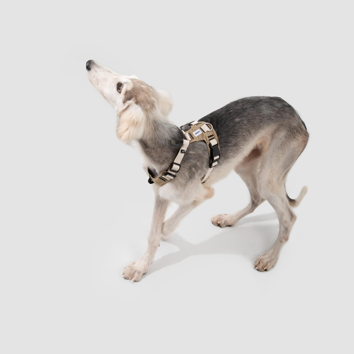 No-Pull Dog Harness with Front & Back Clips