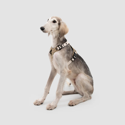 No-Pull Dog Harness with Front & Back Clips