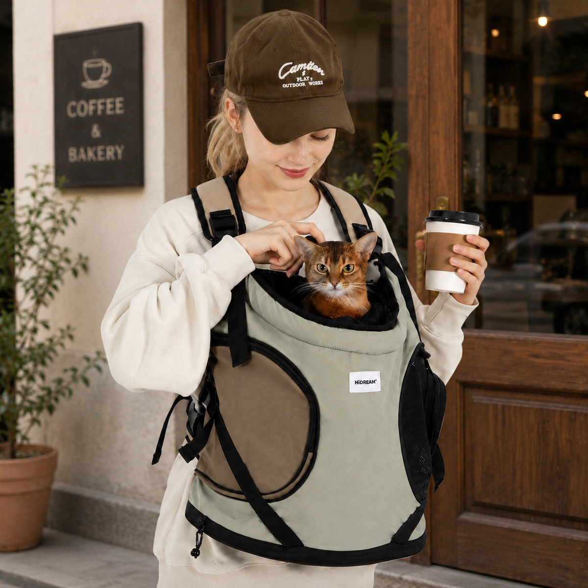 Cat Carrier for Cats & Small Dogs