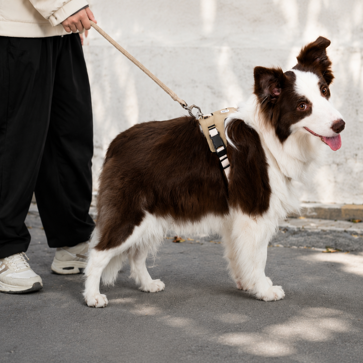 no-pull-dog-harness-adjustable-front-clip-breathable-pet-harness