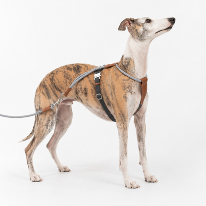 Adjustable Escape-Resistant Rope Dog Harness