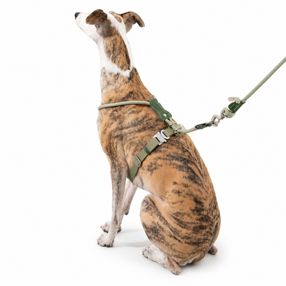 Adjustable Escape-Resistant Rope Dog Harness