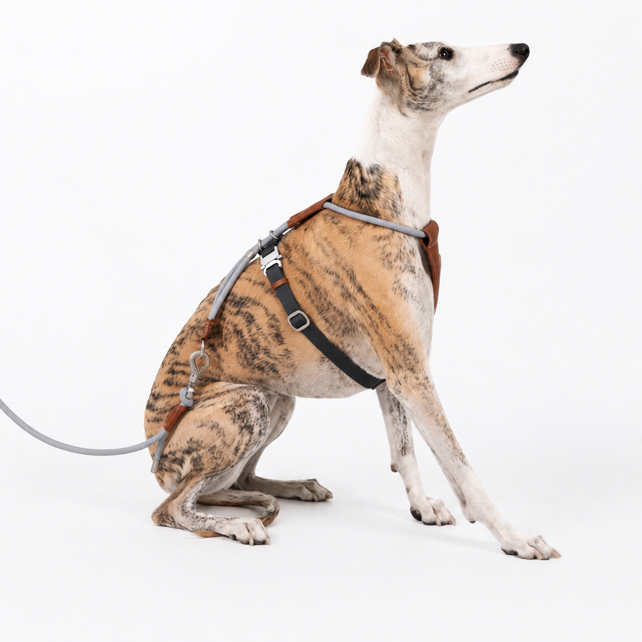 Adjustable Escape-Resistant Rope Dog Harness