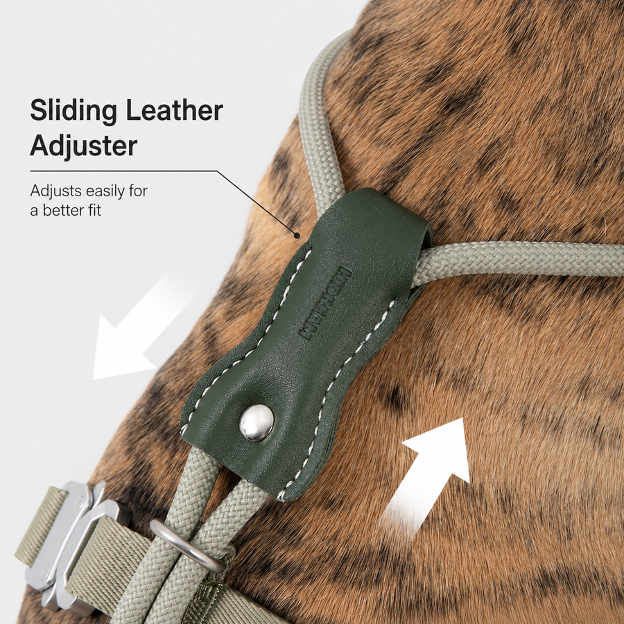 Sliding leather chest adjuster on a dog