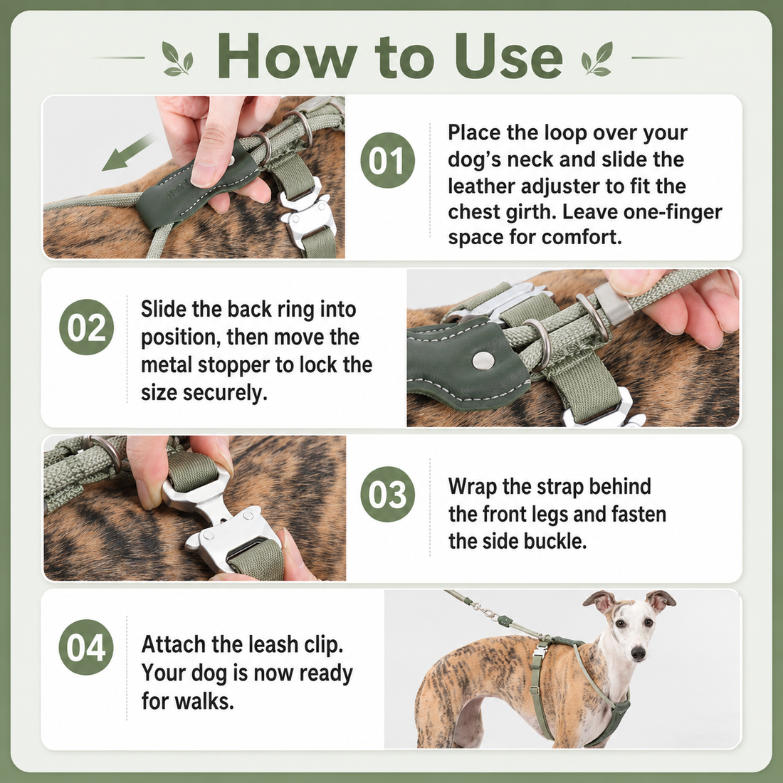 Four-step guide showing how to put on the rope dog harness
