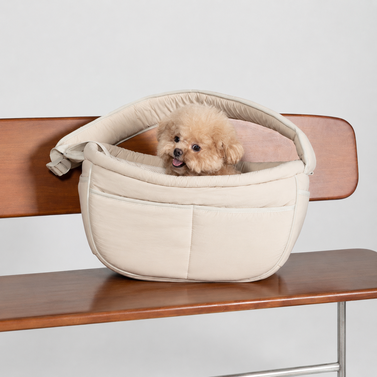Small dog sitting inside a soft padded sling carrier