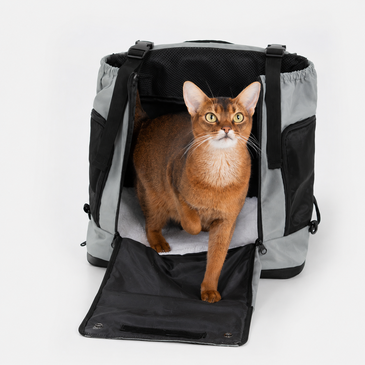 Front Pet Carrier Backpack for Cats & Small Dogs