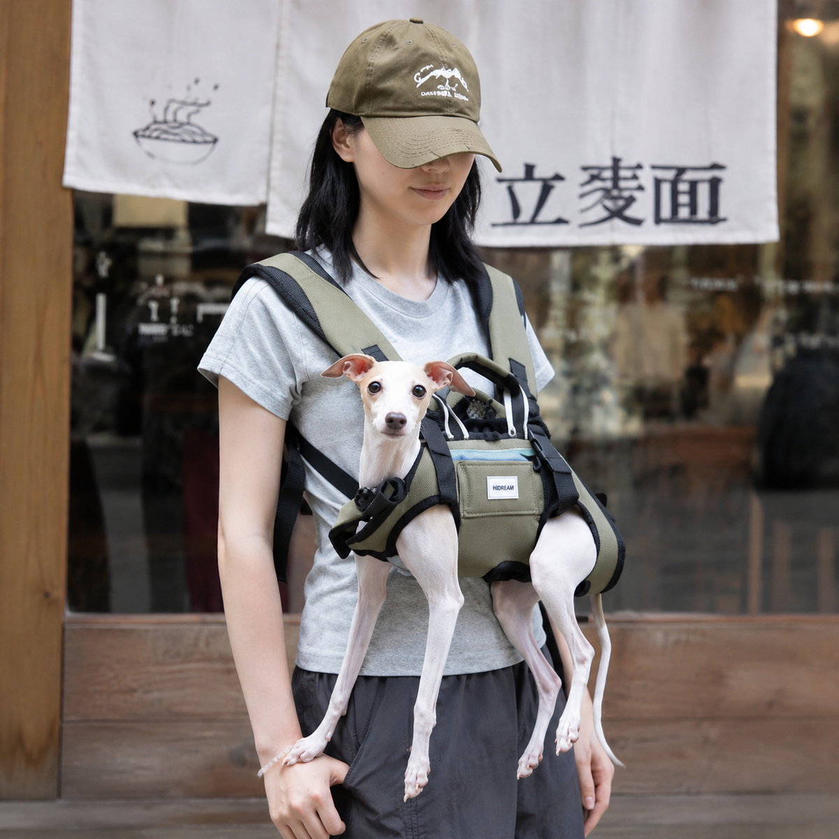 Small dog carried on the front during a daily outing