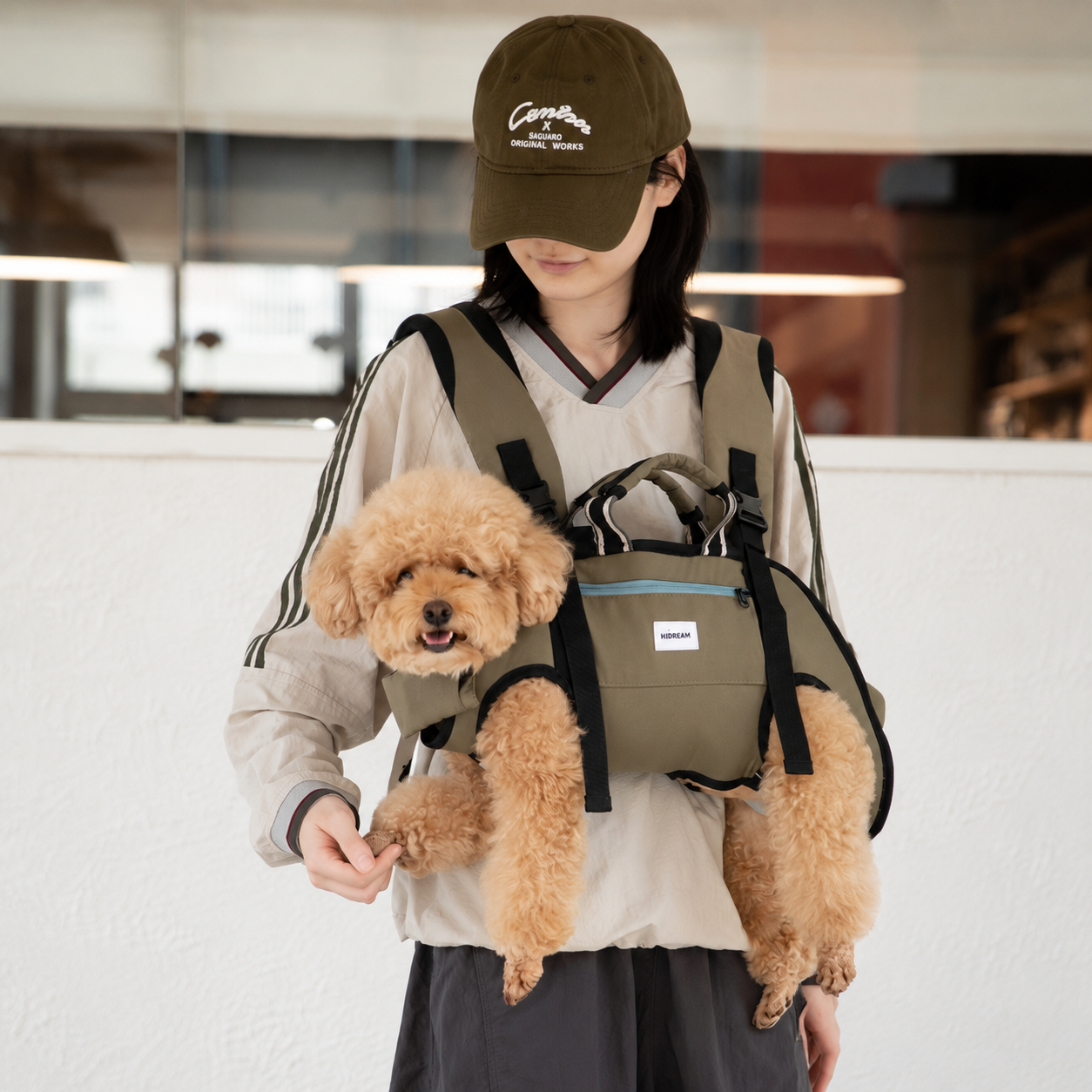 Small dog supported horizontally in a front dog carrier backpack