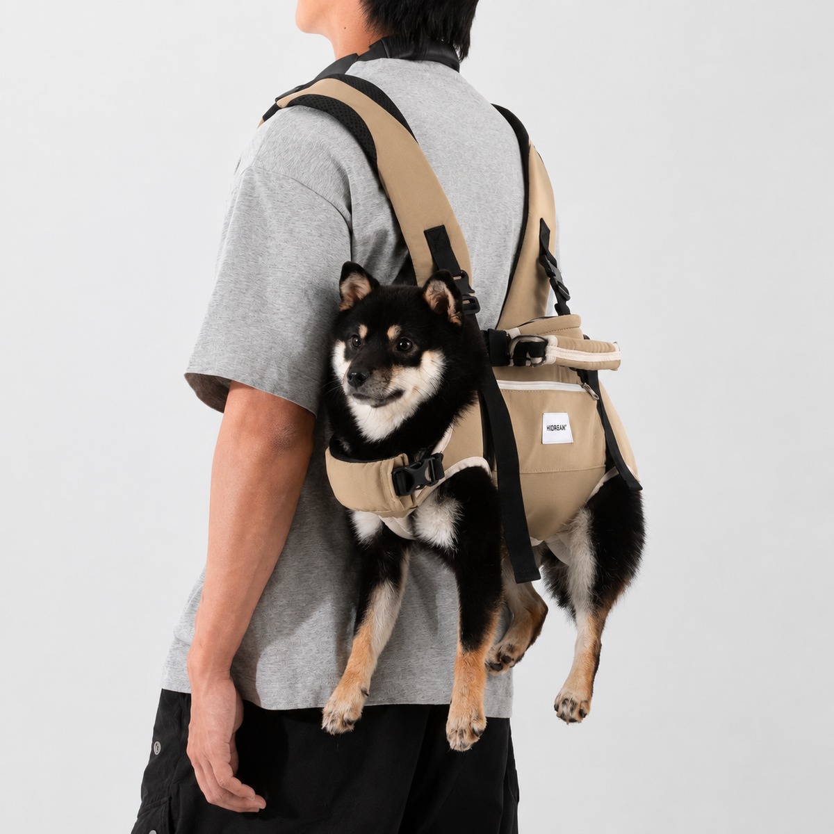Small dog supported in a back carrier