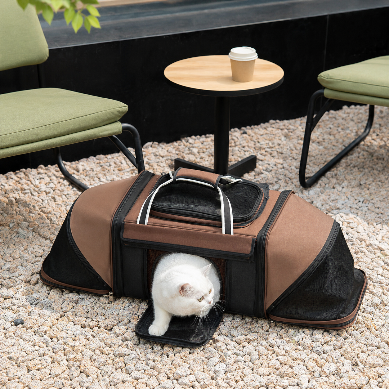 Expandable Airline Pet Carrier