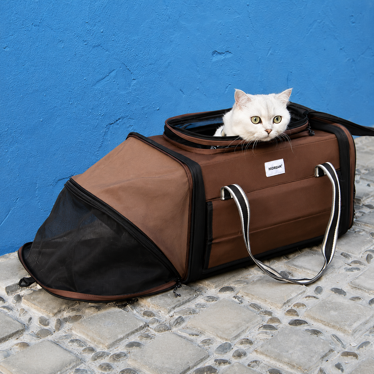 Expandable Airline Pet Carrier