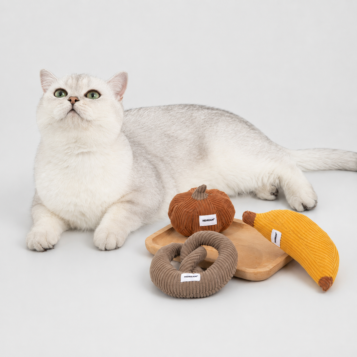 Indoor cat beside three soft catnip toys