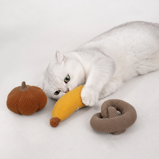 Ensemble de jouets à herbe à chat douce pour chats d'intérieur