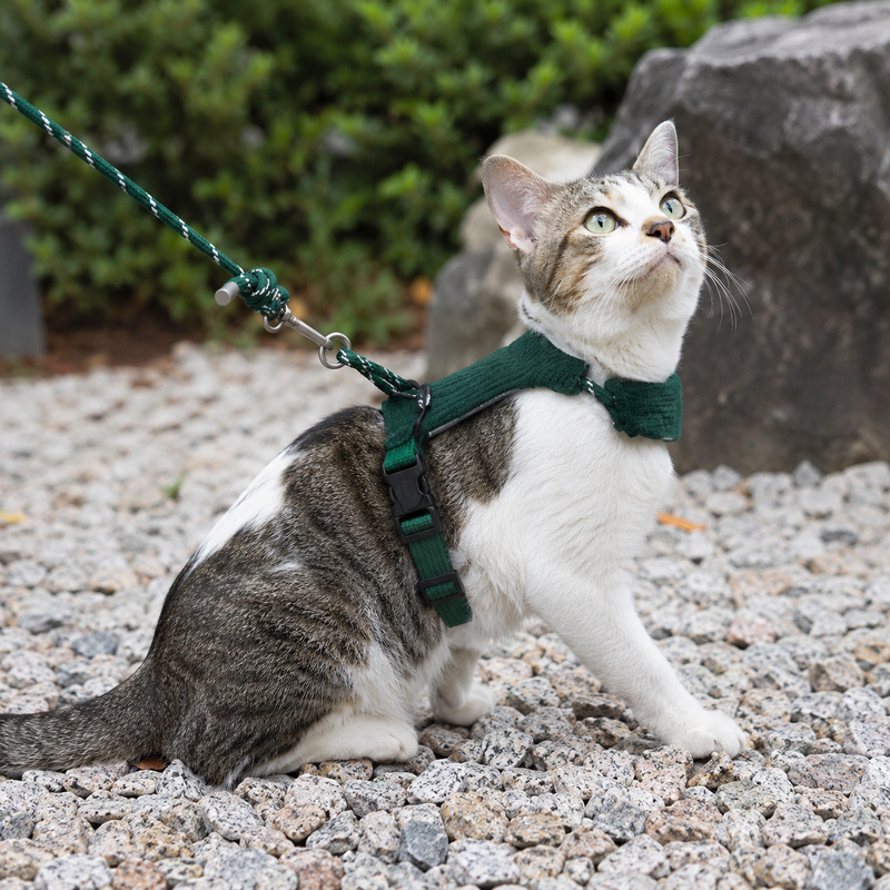 Escape-Proof Cat Harness Set