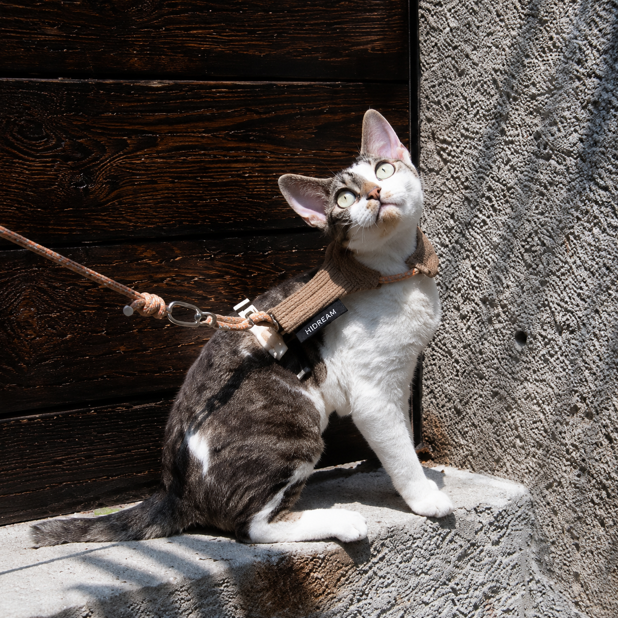 Escape-Proof Cat Harness Set