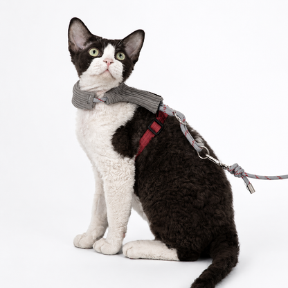 Escape-Proof Cat Harness Set