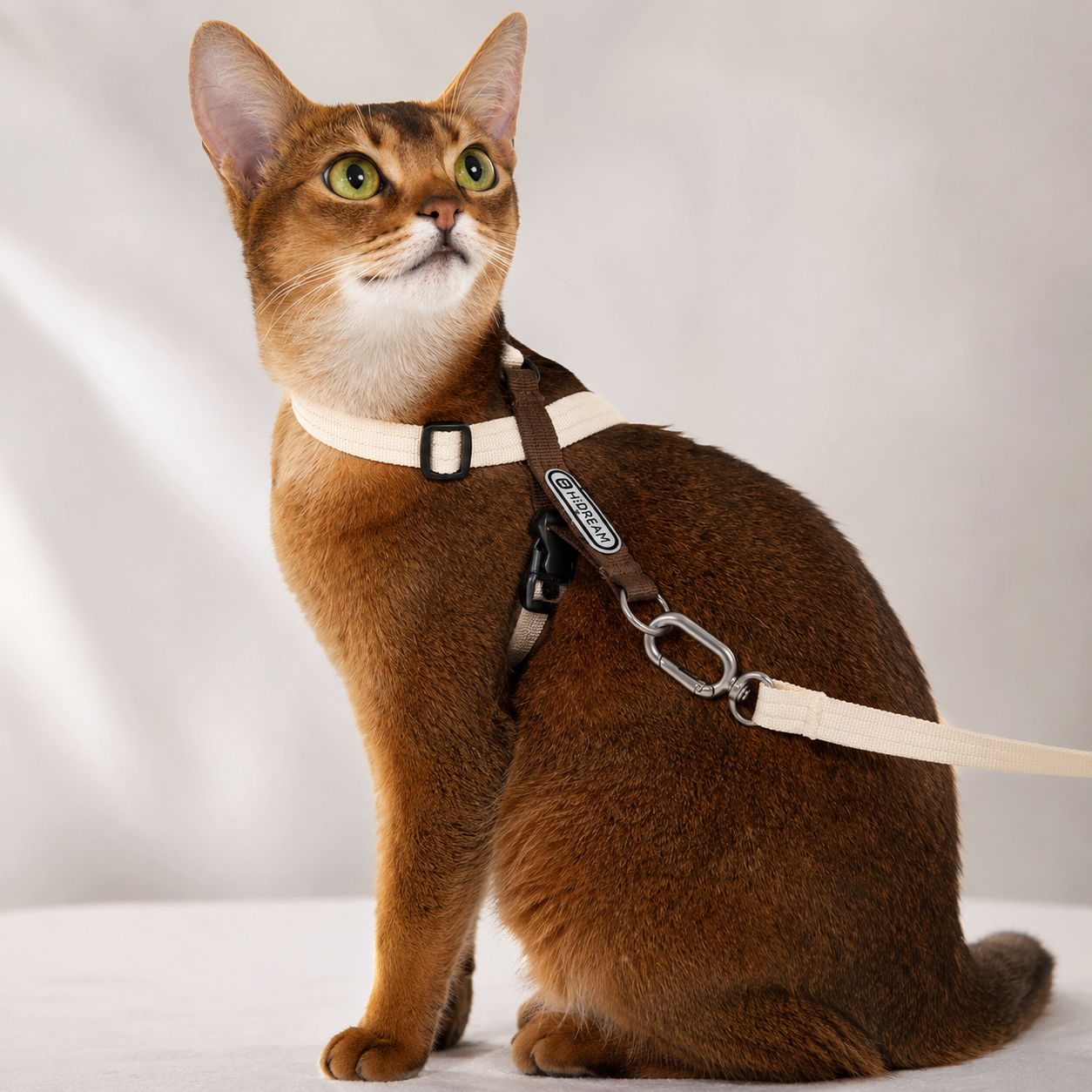 Ausbruchsicheres Katzengeschirr & Leine