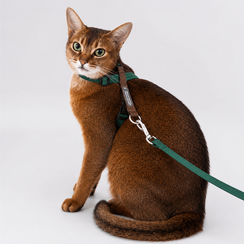 Escape-Proof Cat Harness & Leash