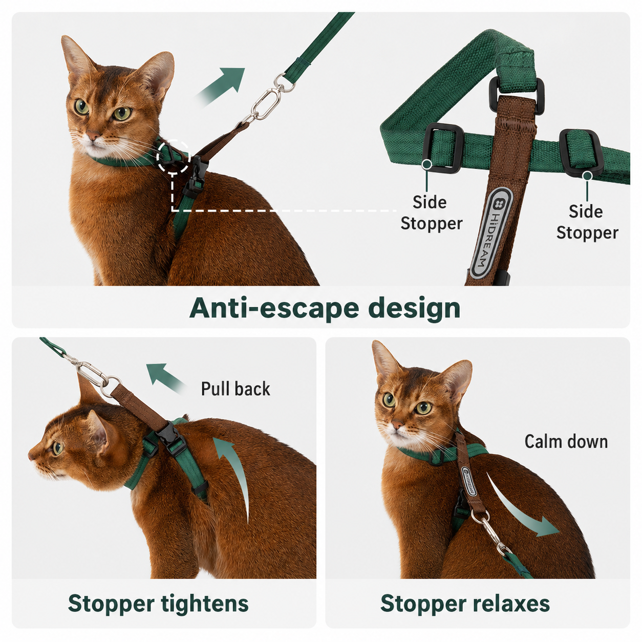 Diagram explaining the anti-escape cat harness structure