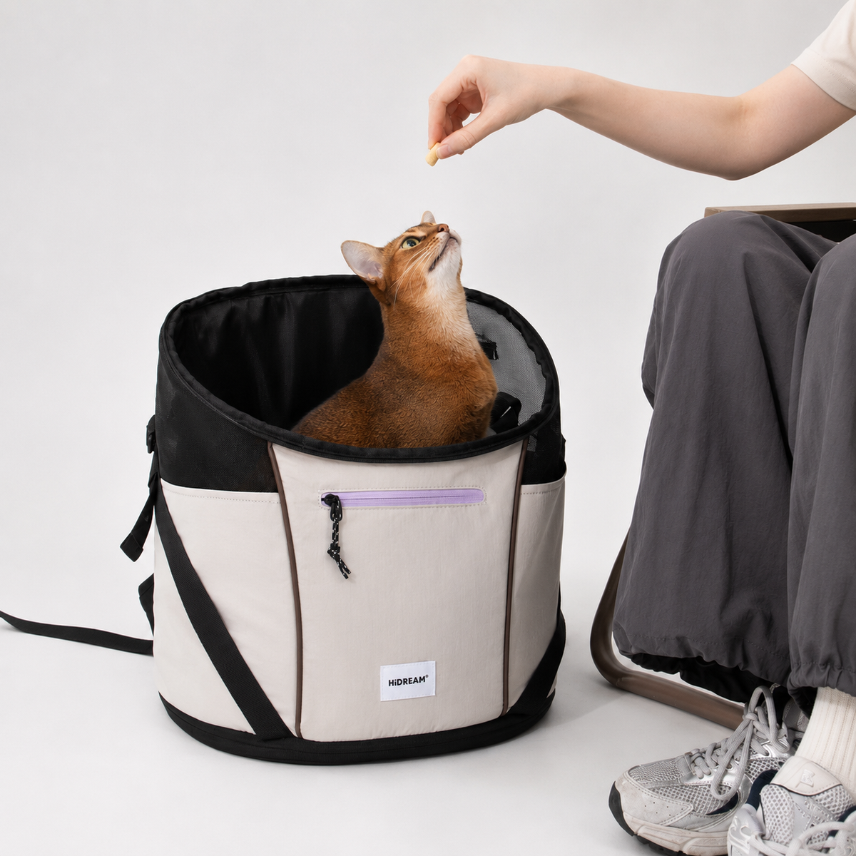 Cat sitting comfortably inside an open pet carrier