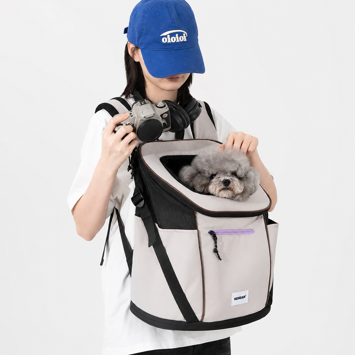 Small dog resting inside a front pet carrier