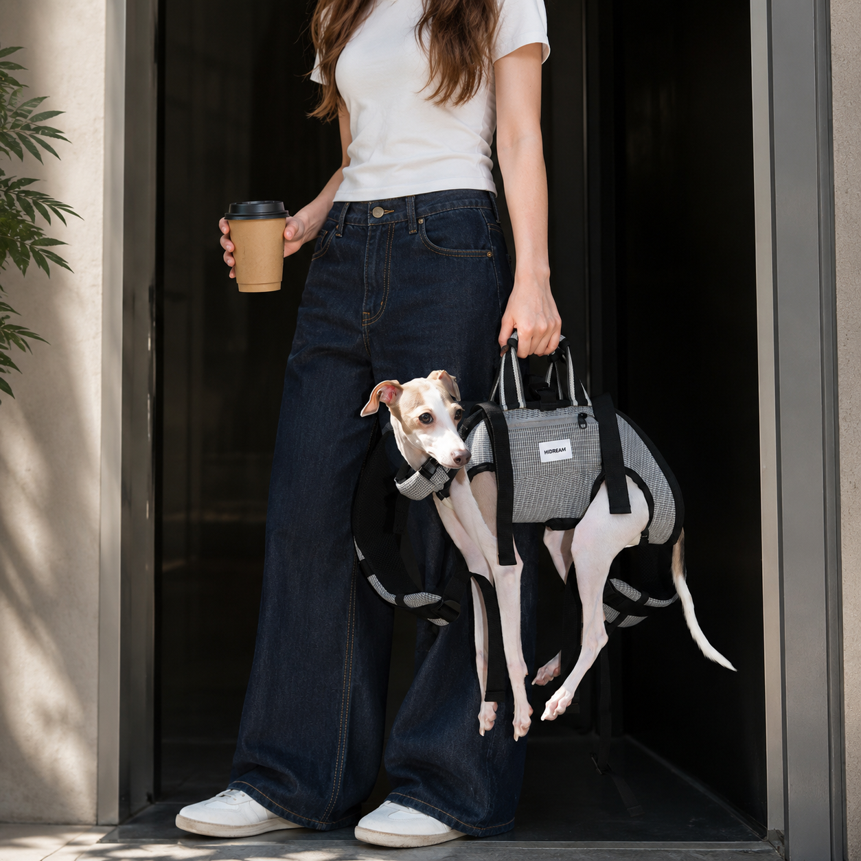 Woman hand carrying a small dog in a gray convertible dog carrier backpack