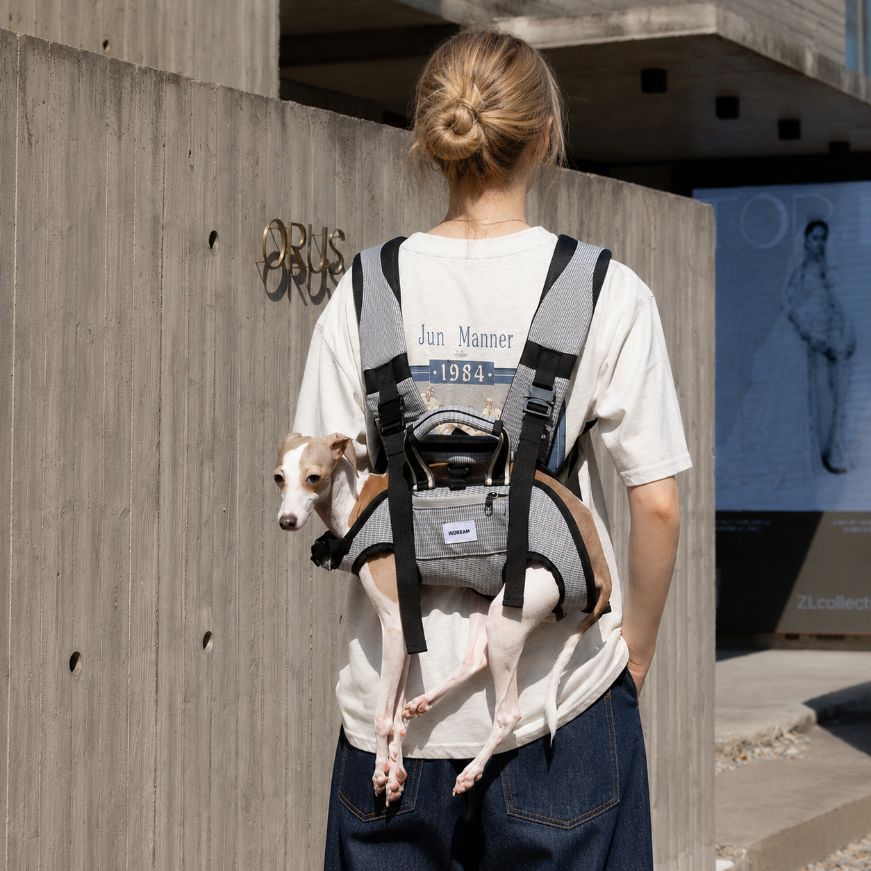 Woman wearing a gray hands-free dog carrier backpack on her back with a small dog