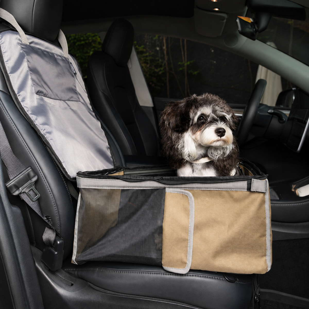 Small dog sitting in an enclosed passenger seat carrier