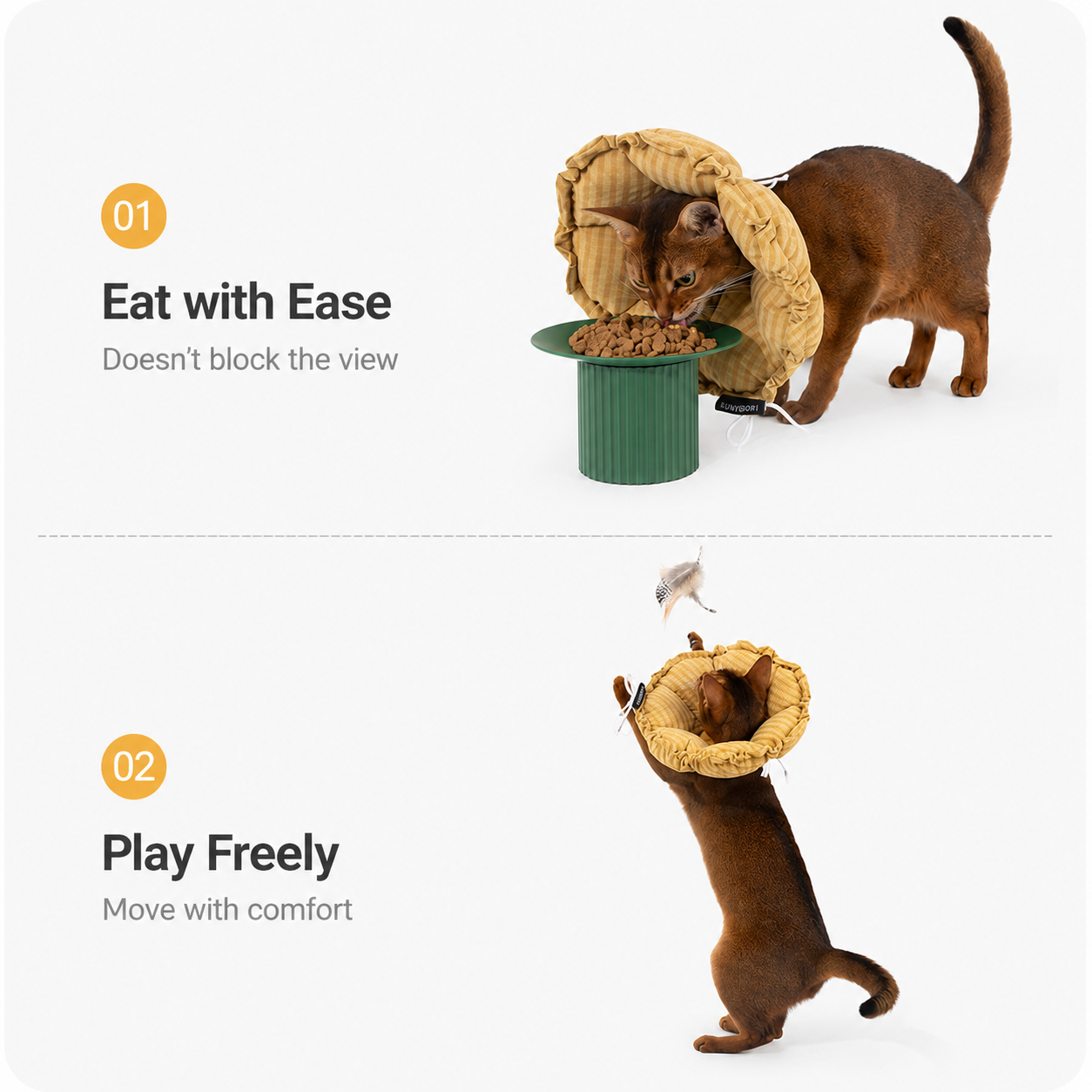 Cat eating and playing while wearing a recovery collar