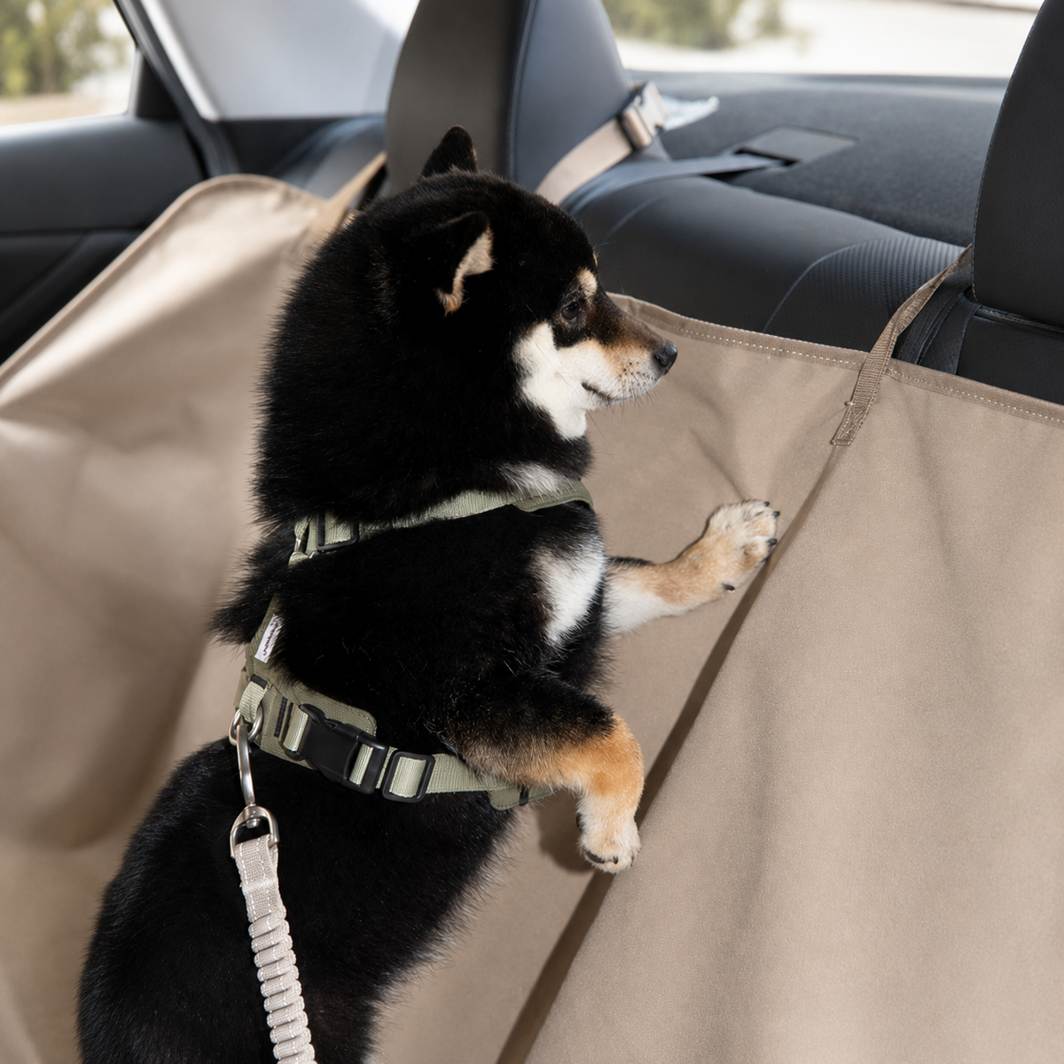 Dog leaning against the raised side wall of a car hammock