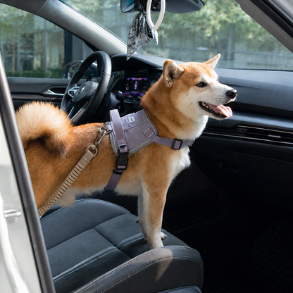 Adjustable Bungee Dog Car Seat Belt