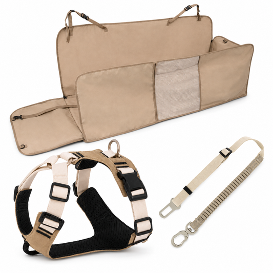 Complete Dog Car Safety Kit