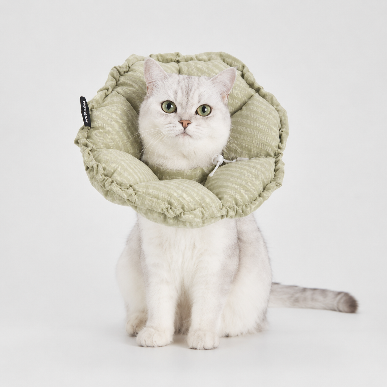 Soft Cat Recovery Collar – Anti-Lick Flower Cone After Surgery