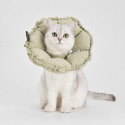 Soft Cat Recovery Collar – Anti-Lick Flower Cone After Surgery