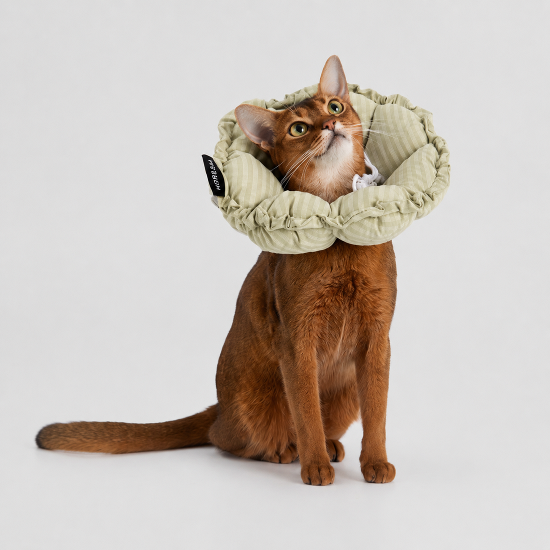 Green flower recovery collar