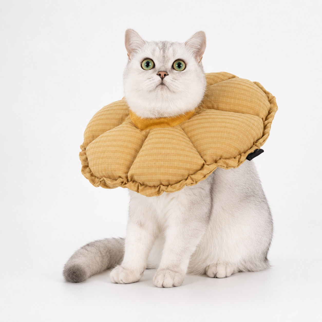 Soft Cat Recovery Collar – Anti-Lick Flower Cone After Surgery
