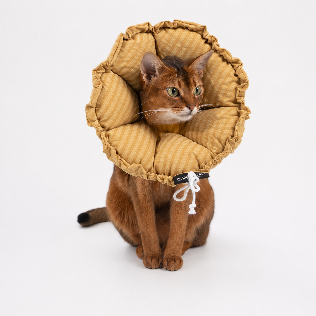 Yellow flower recovery collar