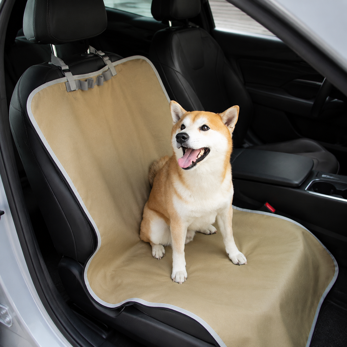 Dog sitting on a front passenger seat protector