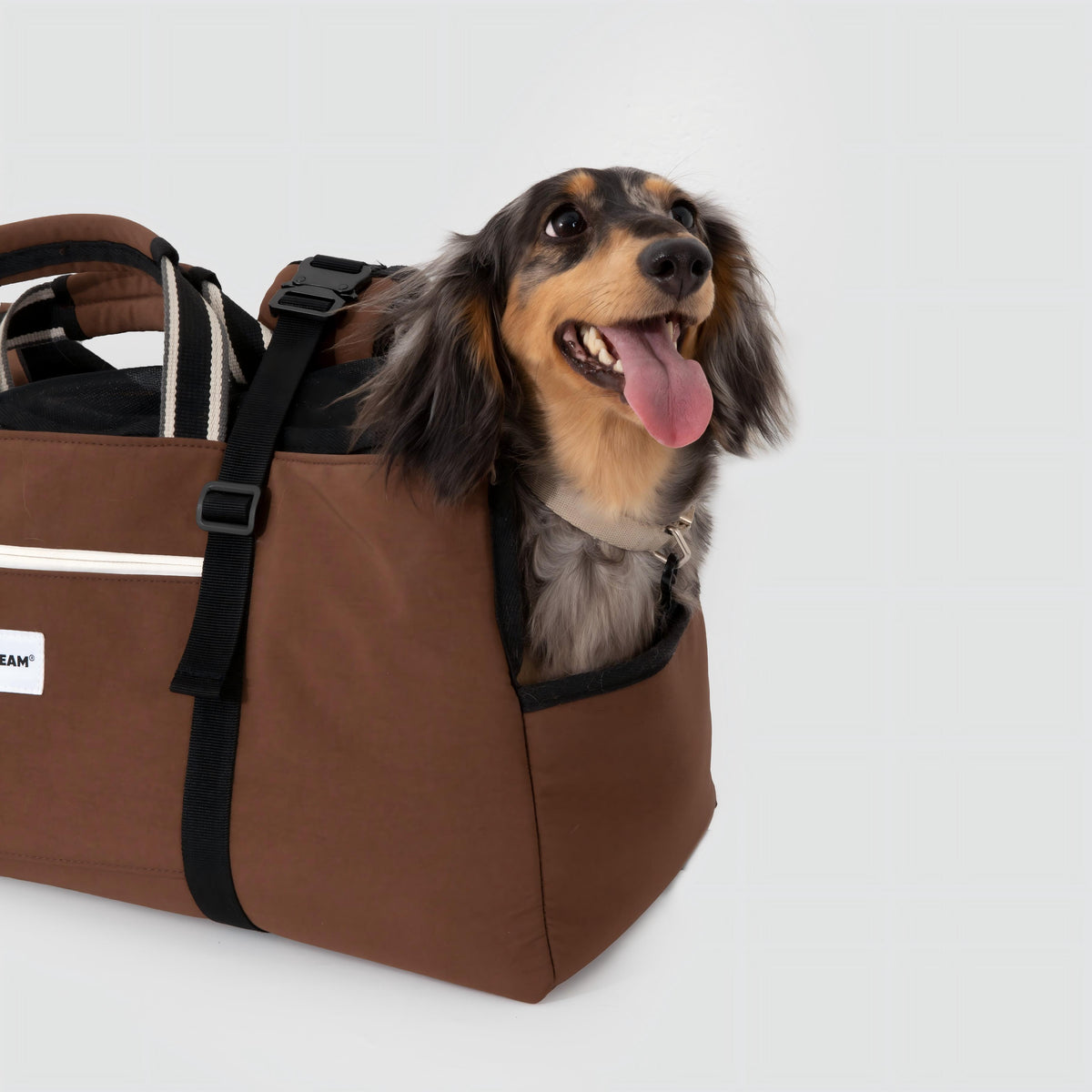 Dachshund Carrier Backpack for Long Dogs